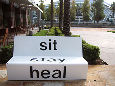 sit stay heal