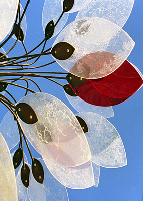 transparent fans