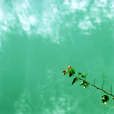 sea green