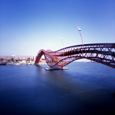 dinosaur bridge #2