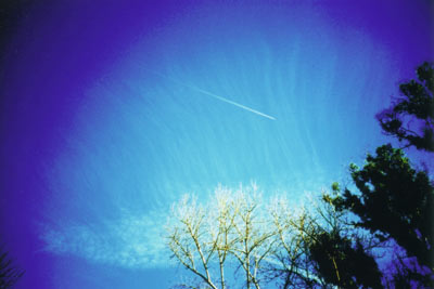 branch clouds