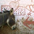 donkey <-- love