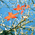 red_leaf.jpg